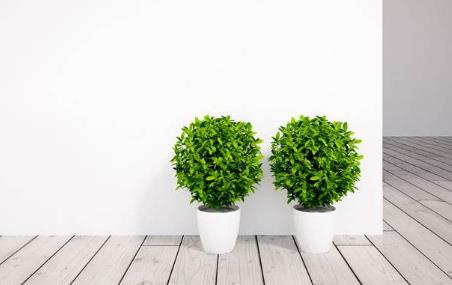 �Gɫ�h(hu��n)�����o���oζ