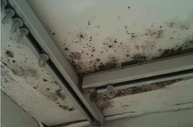 �҃�(n��i)�Y¶�l(f��)ù