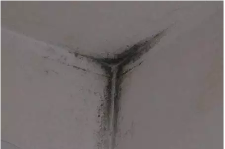 �҃�(n��i)�Y¶�l(f��)ù