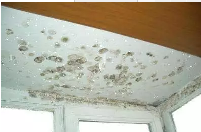 �҃�(n��i)�Y¶�l(f��)ù