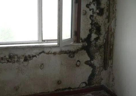 �ЙC���ز��Ϻ͟o�C���ز����״�����Щ�|�����}��