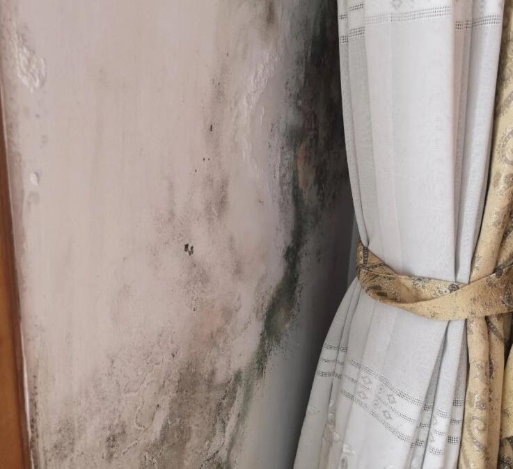 ����Ǽ��b�≦��������������Љ��ڰl(f��)ù����ô������